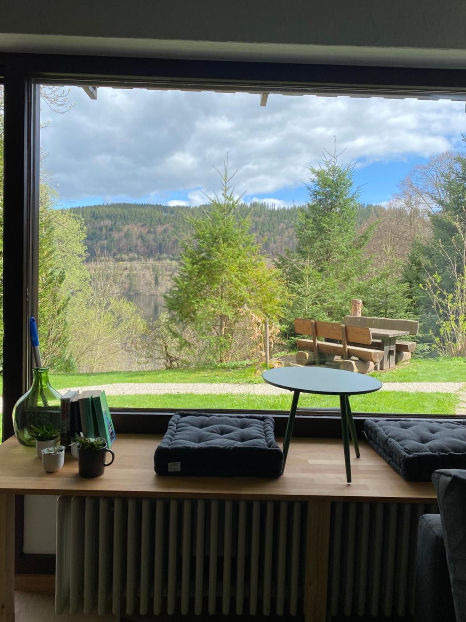 Black Forest Apartments Titisee Zewnętrze zdjęcie