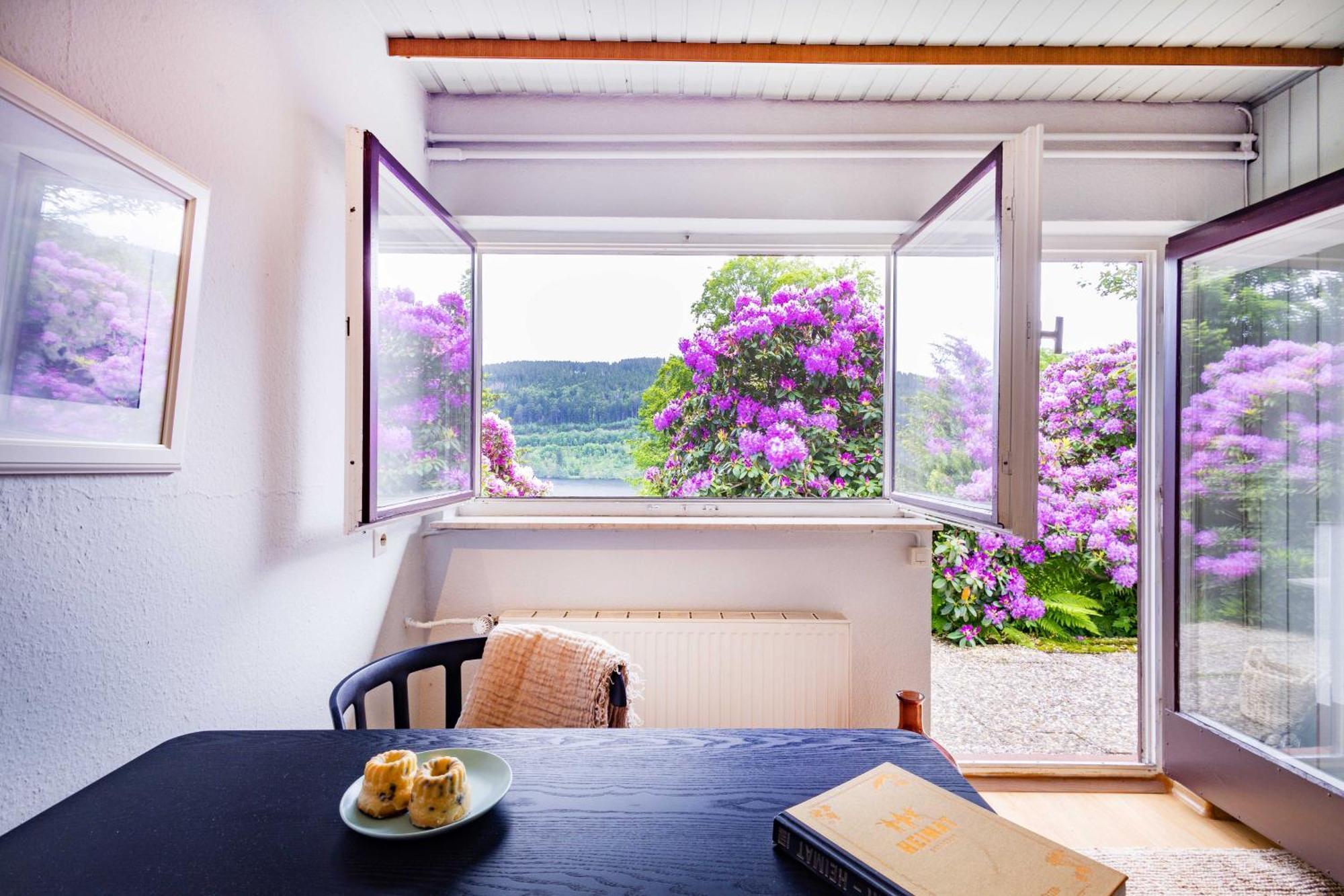 Black Forest Apartments Titisee Zewnętrze zdjęcie